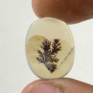 Riesige Größe !!! Dendritenachat Cabochon, Lose Edelstein, Dendritenachat für die Herstellung von Schmuck Pendent Größe 16X13 MM