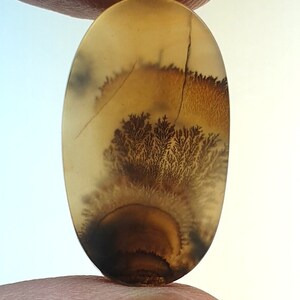 Riesige Größe !!! Dendritenachat Oval Cabochon, Lose Edelstein, Dendritenachat für die Herstellung von Schmuck Pendent Größe 24x14 MM