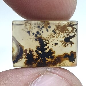Wunderschöner Designer Dendriten Achat !!! NATÜRLICHER Dendritenachat Cabochon, loser Edelstein, 15 x 11 mm Dendritenachat für die Herstellung von Schmuck Pendent.