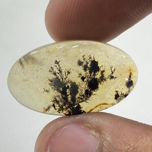Riesige Größe !!! Dendritenachat Cabochon, Lose Edelstein, Dendritenachat für die Herstellung von Schmuck Pendent Größe 19 x 12 MM