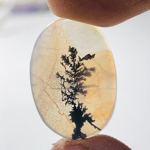 Wunderschöner Designer Dendriten Achat !!! NATÜRLICHER Dendritenachat Cabochon, loser Edelstein, 14X20 mm Dendritenachat für die Herstellung von Schmuck Pendent.