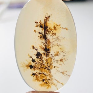 Wunderschöner Designer Dendriten Achat !!! NATÜRLICHER Dendritenachat Cabochon, loser Edelstein, 19X30 mm Dendritenachat für die Herstellung von Schmuck Pendent.