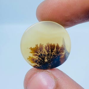 Erstaunlicher Design Achat !!! NATÜRLICHER Dendritischer Achat Oval Cabochon, loser Edelstein, Dendritischer Achat für die Herstellung von Schmuck Pendent.