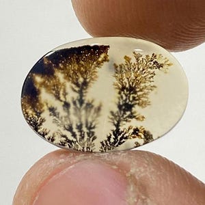 Riesige Größe !!! Dendritenachat Cabochon, Lose Edelstein, Dendritenachat für die Herstellung von Schmuck Pendent Größe 15 x 10 MM