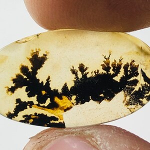 Wunderschöner Designer Dendriten Achat !!! NATÜRLICHER Dendritenachat Cabochon, loser Edelstein, 22x12 mm Dendritenachat für die Herstellung von Schmuck Pendent.