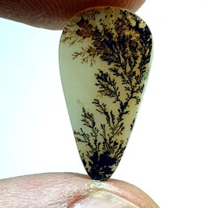 Traumhaft !!! Dendritische Achat Cabochon, Dendritische Lose Edelstein, Dendritische Achat, Achat Für die Herstellung von Schmuck Pendent