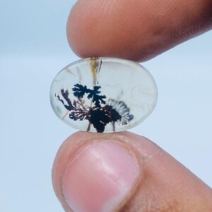Erstaunlicher Design Achat !!! NATÜRLICHER Dendritischer Achat Oval Cabochon, loser Edelstein, Dendritischer Achat für die Herstellung von Schmuck Pendent.