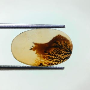 Piedra de diseño. Cabujón de ágata dendrítica de fantasía, piedra preciosa suelta, ágata dendrítica para hacer colgantes de joyería. Tamaño: 17 x 11 mm.