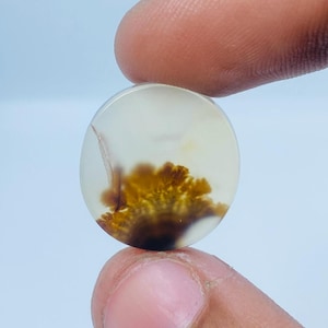 Erstaunlicher Design Achat !!! NATÜRLICHER Dendritischer Achat Oval Cabochon, loser Edelstein, Dendritischer Achat für die Herstellung von Schmuck Pendent.