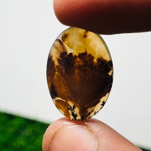 Wunderschöner Designer Dendriten Achat !!! NATÜRLICHER Dendritenachat Cabochon, loser Edelstein, 15x21 MM Dendritenachat für die Herstellung von Schmuck Pendent.