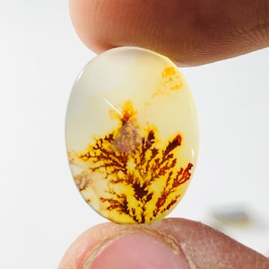 Wunderschöner Designer Dendriten Achat !!!  NATÜRLICHER Dendritenachat Cabochon, loser Edelstein, 12 x 16 mm Dendritenachat für die Herstellung von Schmuck Pendent.