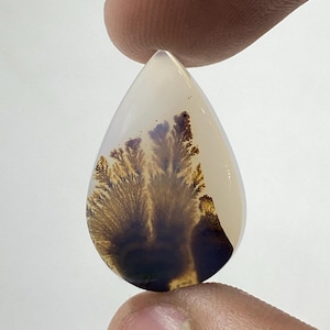 Riesige Größe !!! Dendritenachat Cabochon, Lose Edelstein, Dendritenachat für die Herstellung von Schmuck Pendent Größe 15 x 22 MM