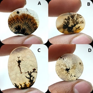 Natürlicher Dendritenachat, Dendritischer Cabochon, Achat-Lose Edelstein, Malerischer Dendritischer Achat, Heilende Eigenschaften, Farbe, Kraftstein