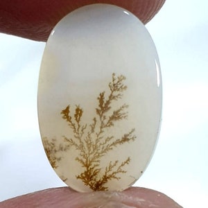 Wunderschöner Designer Dendriten Achat !!! NATÜRLICHER Dendritischer Achat Cabochon, loser Edelstein, 11 x 17 mm Dendritischer Achat zur Herstellung von Schmuckanhängern.