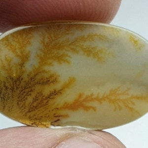 Riesige Größe !!! Dendritenachat Oval Cabochon, lose Edelstein, Dendritenachat für die Herstellung von Schmuck Pendent Größe 26x15MM