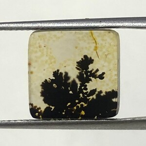 Erstaunlicher Design Achat !!! NATÜRLICHER Dendritischer Achat Oval Cabochon, loser Edelstein, Dendritischer Achat für die Herstellung von Schmuck Pendent.