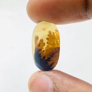 Riesige Größe !!! Dendritenachat-Birne Cabochon, lose Edelstein, dendritische Achat für die Herstellung von Schmuck Pendent Größe 15 x 21 MM