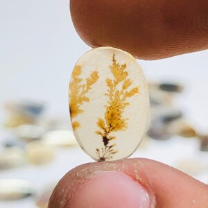 Natürlicher Achat !!! Dendritenachat Birne Cabochon, Lose Edelstein, Dendritenachat 13X9 Größe für die Herstellung von Schmuck Pendent