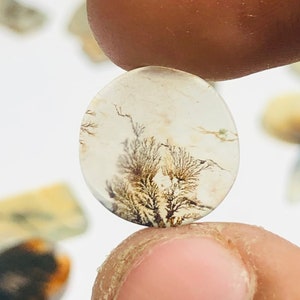 Wunderschöner Designer Dendriten Achat !!!  NATÜRLICHER Dendritischer Achat Cabochon, loser Edelstein, 12 x 12 mm Dendritischer Achat zur Herstellung von Schmuckanhängern.