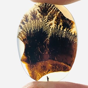 Wunderschöner Designer Dendriten Achat !!! NATÜRLICHER Dendritenachat Cabochon, loser Edelstein, 17 x 23 mm Dendritenachat zur Herstellung von Schmuckanhängern.