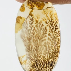 Wunderschöner Designer Dendriten Achat !!! NATÜRLICHER Dendritenachat Cabochon, loser Edelstein, 20x12 mm Dendritenachat für die Herstellung von Schmuck Pendent.