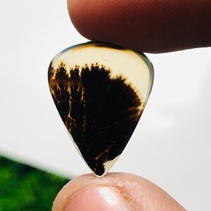 Wunderschöner Designer Dendriten Achat !!!  NATÜRLICHER Dendritischer Achat Cabochon, loser Edelstein, 13 x 17 mm Dendritischer Achat zur Herstellung von Schmuckanhängern.
