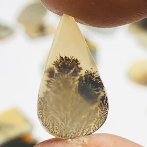 Wunderschöner Designer Dendriten Achat !!! NATÜRLICHER Dendritischer Achat Cabochon, loser Edelstein, MM Dendritischer Achat für die Herstellung von Schmuck Pendent.