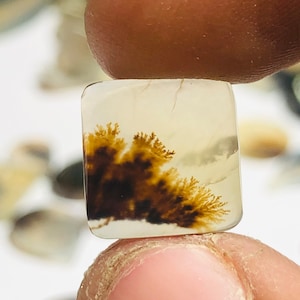 Wunderschöner Designer Dendriten Achat !!!  NATÜRLICHER Dendritenachat Cabochon, loser Edelstein, 11 x 11 MM Dendritenachat für die Herstellung von Schmuck Pendent.