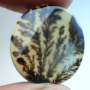 Riesige Größe !!! Dendritenachat Rund Cabochon, Lose Edelstein, Dendriten Achat für die Herstellung von Schmuck Pendent Größe 23X21 MM
