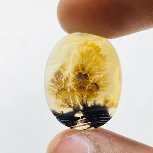 Riesige Größe !!! Dendritenachat Birne Cabochon, Lose Edelstein, Dendritenachat für die Herstellung von Schmuck Pendent Größe 22 x 17 MM