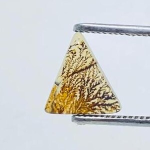 Riesige Größe !!! Dendritenachat Birne Cabochon, Lose Edelstein, Dendritenachat für die Herstellung von Schmuck Pendent Größe 23 x 13 MM