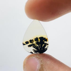 Riesige Größe !!! Dendritenachat Birne Cabochon, Lose Edelstein, Dendritenachat für die Herstellung von Schmuck Pendent Größe 17 x 12 MM
