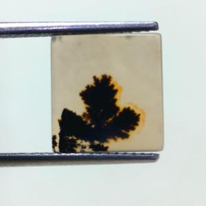 Piedra de diseño. Cabujón de ágata dendrítica, piedra preciosa suelta, ágata dendrítica para hacer colgantes de joyería, tamaño 11 x 10 mm.