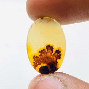 Riesige Größe !!! Dendritenachat Birne Cabochon, Lose Edelstein, Dendritenachat für die Herstellung von Schmuck Pendent Größe 19 x 13 MM