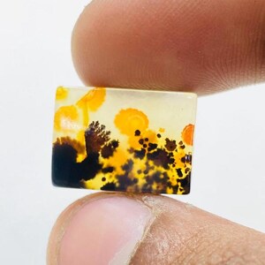 Riesige Größe !!! Dendritenachat Birne Cabochon, Lose Edelstein, Dendritenachat für die Herstellung von Schmuck Pendent Größe 16 x 12 MM
