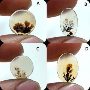 Natürlicher Dendritenachat, Dendritischer Cabochon, Achat-Lose Edelstein, Malerischer Dendritischer Achat, Heilende Eigenschaften, Farbe, Kraftstein
