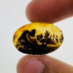 Riesige Größe !!! Dendritenachat Cabochon, Lose Edelstein, Dendritenachat für die Herstellung von Schmuck Pendent Größe 23 x 23 MM