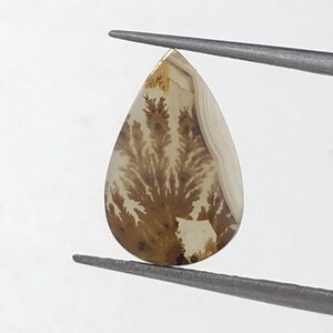 Natürlicher Achat !!! Dendritenachat Cabochon, lose Edelstein, dendritischen Achat für die Herstellung von Schmuck Pendent