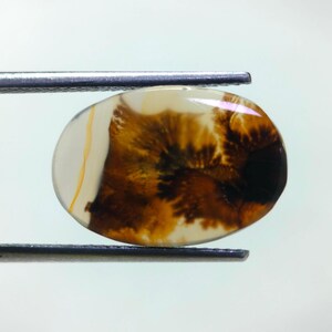 Designersteen !!! Dendritische agaat fancy cabochon, losse edelsteen, dendritische agaat voor het maken van hangers, maat 17 x 11 mm