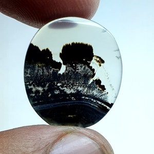 Schön Dendritenachat Oval Cabochon, lose Edelstein, Dendritenachat für die Herstellung von Schmuck Pendent