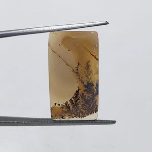 Designer Stone  !!! Dendritic Agate fancy  Cabochon, Loose Gemstone, Dendritic Agate For Making Jewelry Pendent Size 21x12 MM