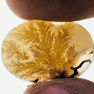 Wunderschöner Designer Dendriten Achat !!! NATÜRLICHER Dendritischer Achat Cabochon, loser Edelstein, 11 x 16 mm Dendritischer Achat zur Herstellung von Schmuckanhängern.