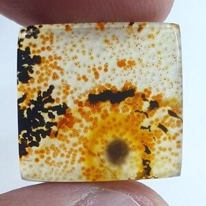 Wunderschöner Designer Dendriten Achat !!! NATÜRLICHER Dendritischer Achat Cabochon, loser Edelstein, 19 x 20 mm Dendritischer Achat zur Herstellung von Schmuckanhängern.