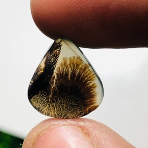 Wunderschöner Designer Dendriten Achat !!! NATÜRLICHER Dendritenachat Cabochon, loser Edelstein, 12x13 MM Dendritenachat für die Herstellung von Schmuck Pendent.