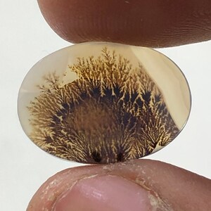 Erstaunlicher Design Achat !!! NATÜRLICHER Dendritischer Achat Oval Cabochon, loser Edelstein, Dendritischer Achat für die Herstellung von Schmuck Pendent.