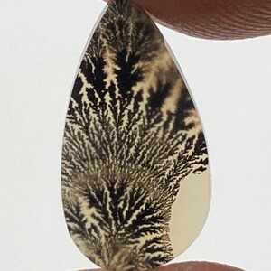 Erstaunlicher Design Achat !!! NATÜRLICHER Dendritischer Achat Oval Cabochon, loser Edelstein, Dendritischer Achat für die Herstellung von Schmuck Pendent.