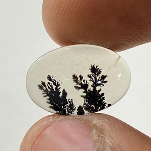 Riesige Größe !!! Dendritenachat Cabochon, lose Edelstein, dendritische Achat für die Herstellung von Schmuck Pendent Größe 15X10 MM