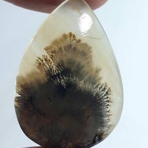 Wunderschöner Designer Dendriten Achat !!! NATÜRLICHER Dendritenachat Cabochon, loser Edelstein, 22 x 23 mm Dendritenachat zur Herstellung von Schmuckanhängern.