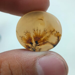Designerstein !!! Dendritenachat-fantastischer Cabochon, loser Edelstein, dendritischer Achat für die Herstellung von Schmuck Penent Größe 20 x 18 MM