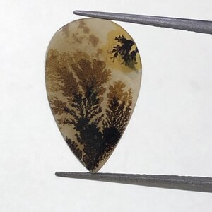 Natürlicher Achat !!! Dendritenachat Cabochon, lose Edelstein, dendritischen Achat für die Herstellung von Schmuck Pendent